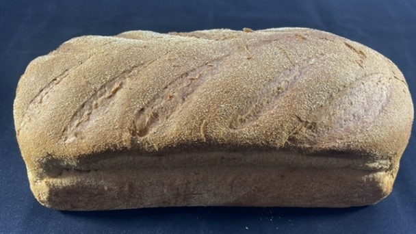 WIT MEERGRANEN GILDEGOUD brood